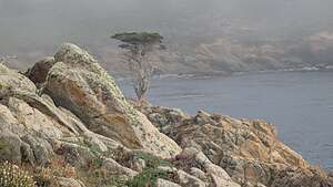 Cypress Grove Trail