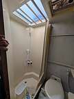 Shower Shower